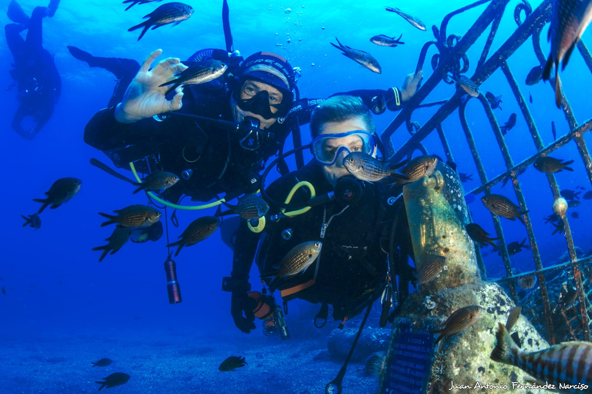 ARCHIVO BUCEO SEMANA AZUL uai - Turismo Almería